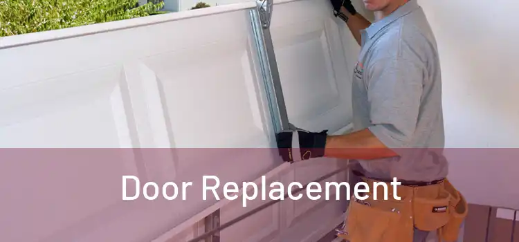  Door Replacement 